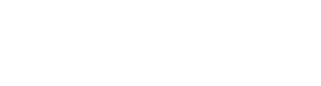 NetSuite + _-1